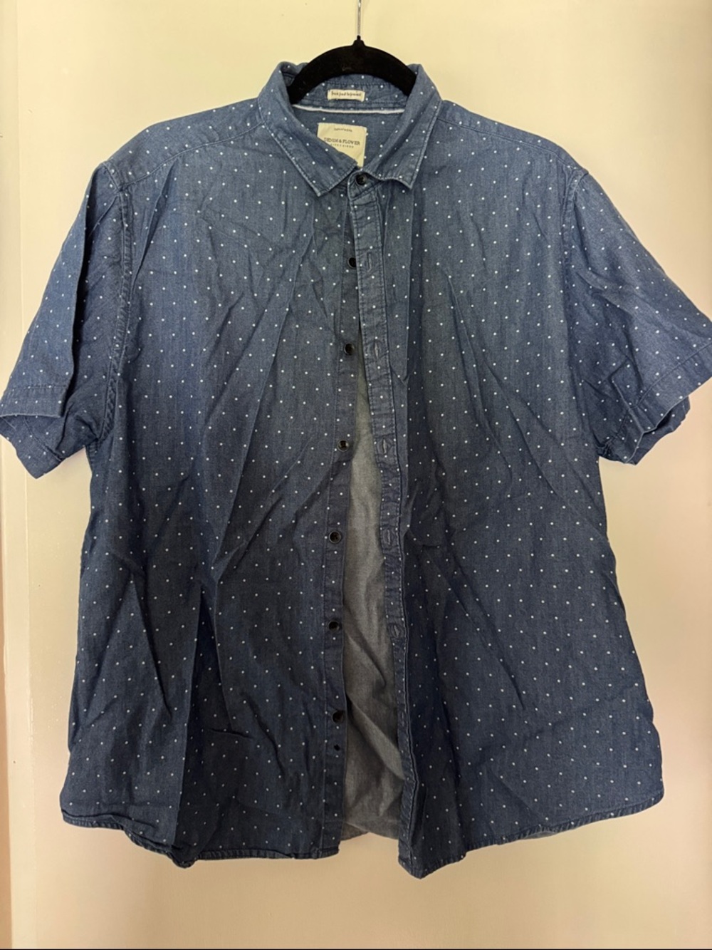 Denim & Flower Blue Short-Sleeve Dot Button-Down Shirt